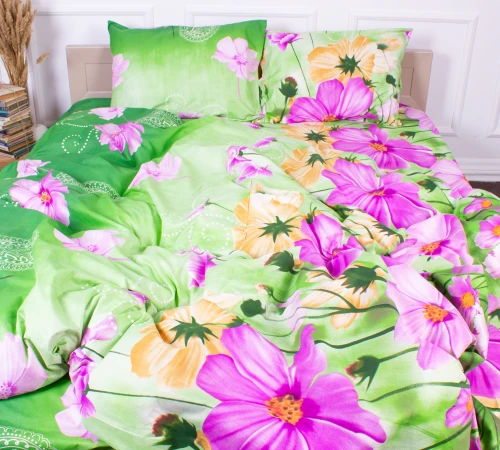 Комплект постельного белья Микрофибра принт 15-0073 Edinburgh