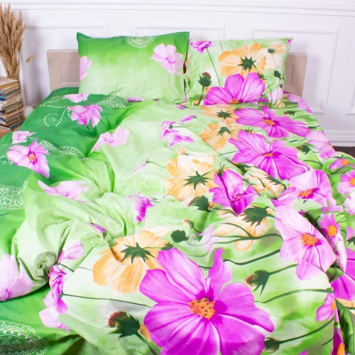 Комплект постільної білизни Мікрофібра принт 15-0073 Edinburgh