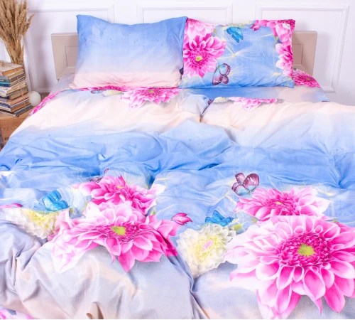 Комплект постельного белья Микрофибра принт 15-0161 Denmark