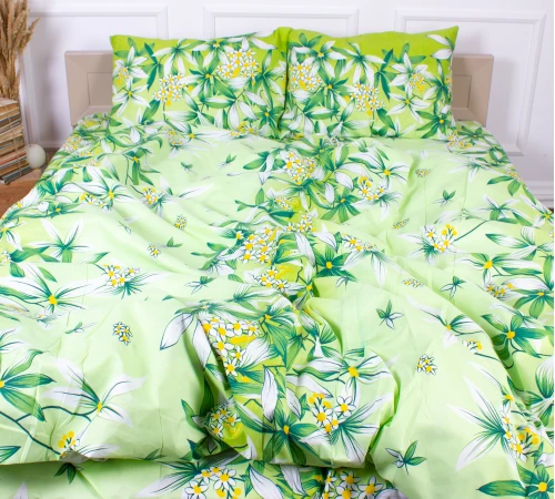 Комплект постельного белья Микрофибра принт 15-0105 Mangrove