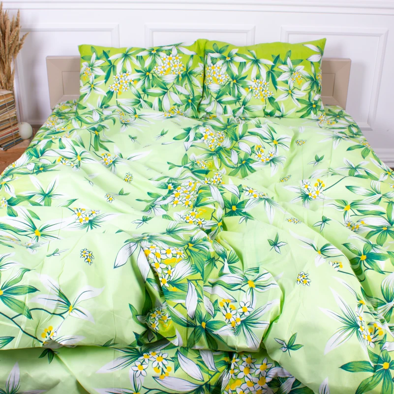 Комплект постельного белья Микрофибра принт 15-0105 Mangrove