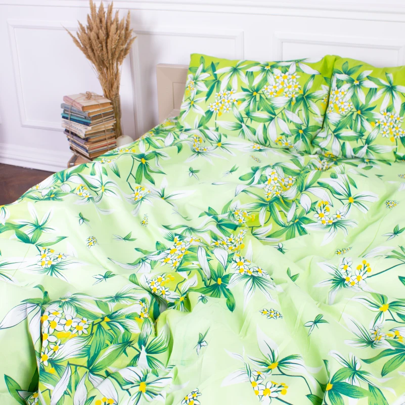 Комплект постельного белья Микрофибра принт 15-0105 Mangrove - 1