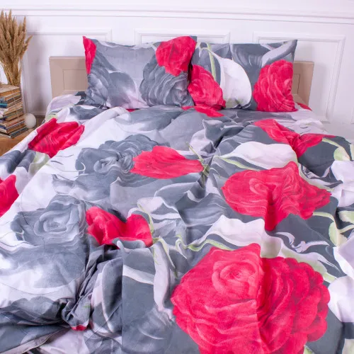 Комплект постільної білизни Мікрофібра принт 15-0076 Leicester