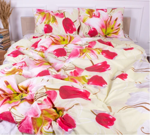 Комплект постельного белья Микрофибра принт 15-0079 Newcastle