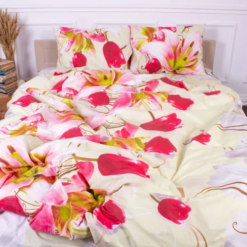 Комплект постільної білизни Мікрофібра принт 15-0079 Newcastle