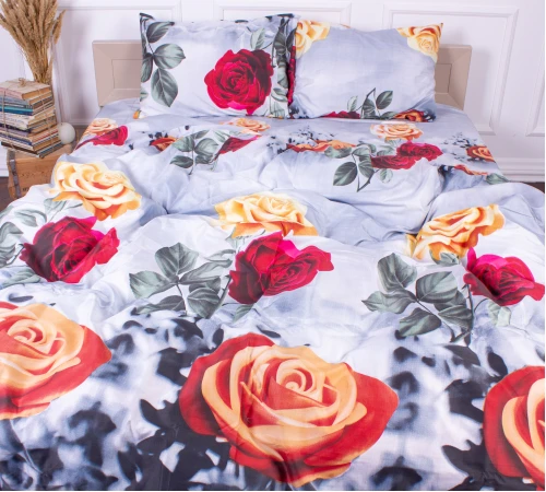 Комплект постельного белья Микрофибра принт 15-0034 Bratislava