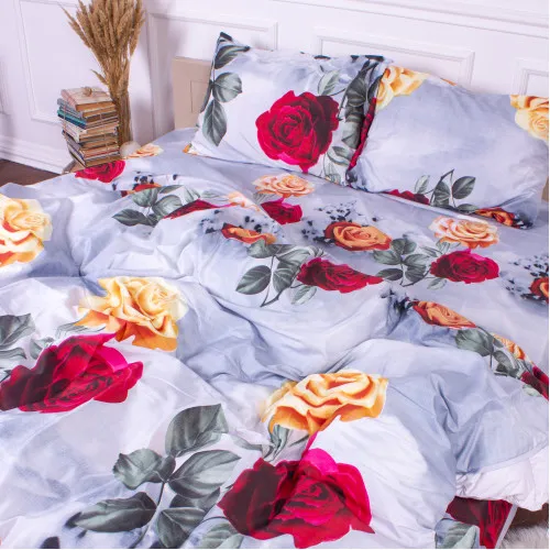 Підковдра Мікрофібра принт 15-0034 Bratislava - 2