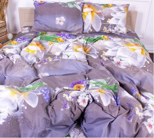 Комплект постельного белья Микрофибра принт 15-0288 Dawn