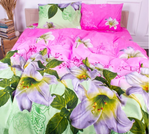 Комплект постельного белья Микрофибра принт 15-0145 Piccolo