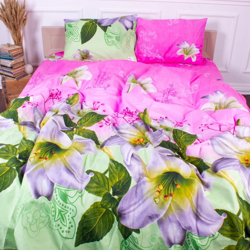 Комплект постельного белья Микрофибра принт 15-0145 Piccolo