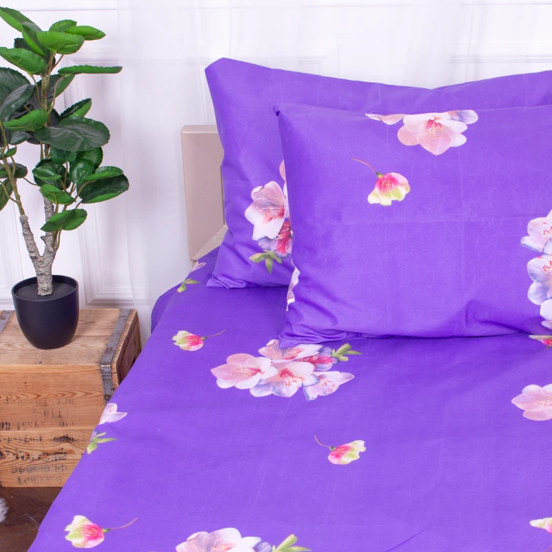 Комплект постельного белья Микрофибра принт 15-0324 Connor - 3