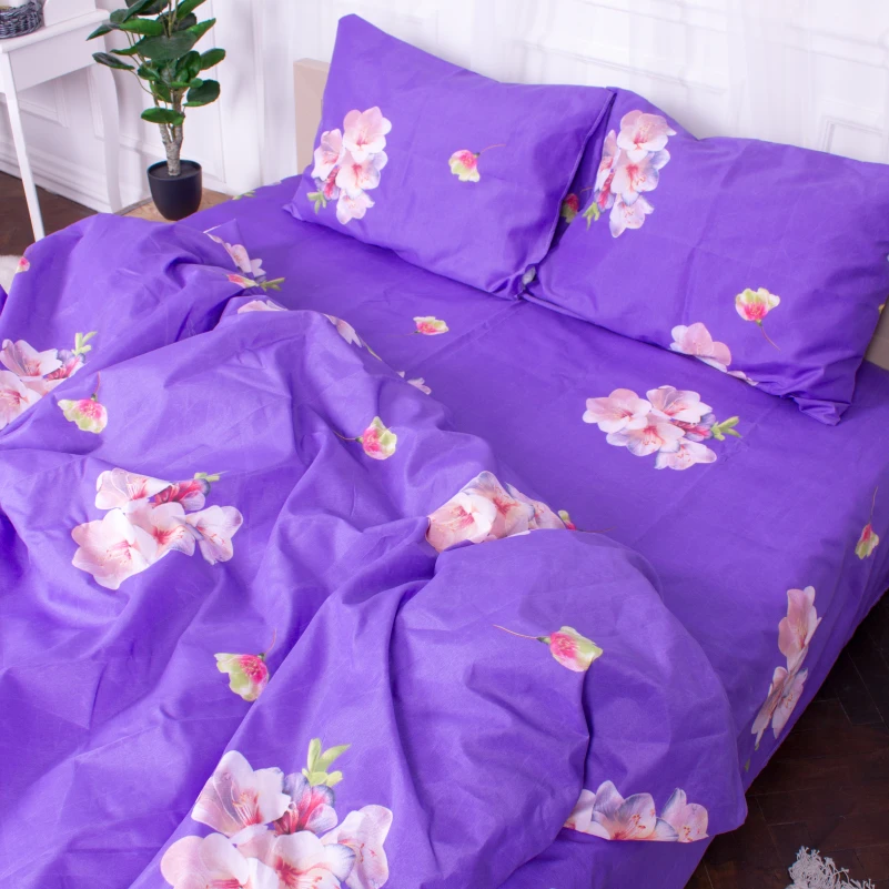 Комплект постельного белья Микрофибра принт 15-0324 Connor - 2