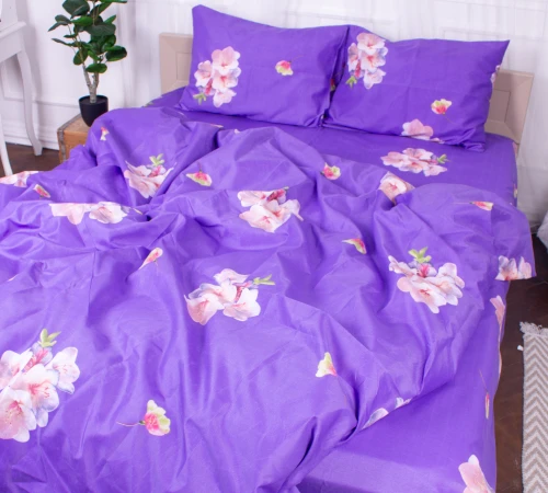 Комплект постельного белья Микрофибра принт 15-0324 Connor - 2