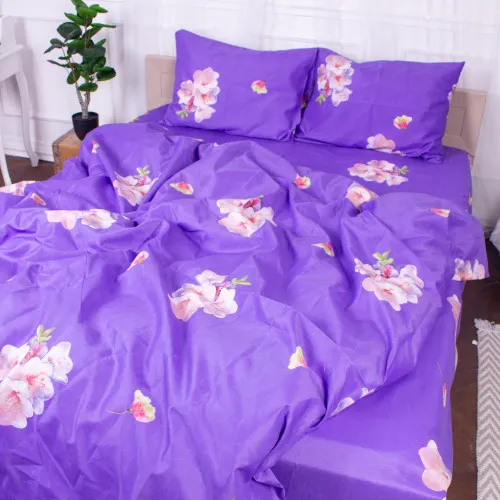 Підковдра Мікрофібра принт 15-0324 Connor