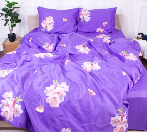 Комплект постельного белья Микрофибра принт 15-0324 Connor