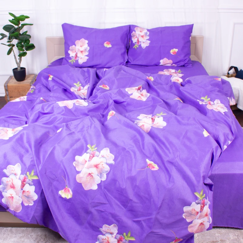 Комплект постельного белья Микрофибра принт 15-0324 Connor