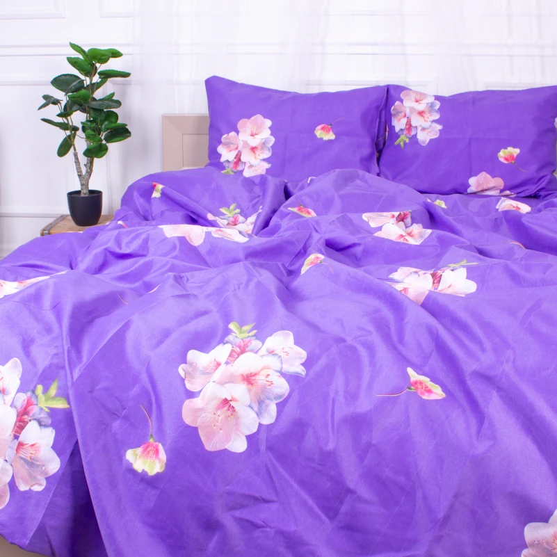 Комплект постельного белья Микрофибра принт 15-0324 Connor - 4