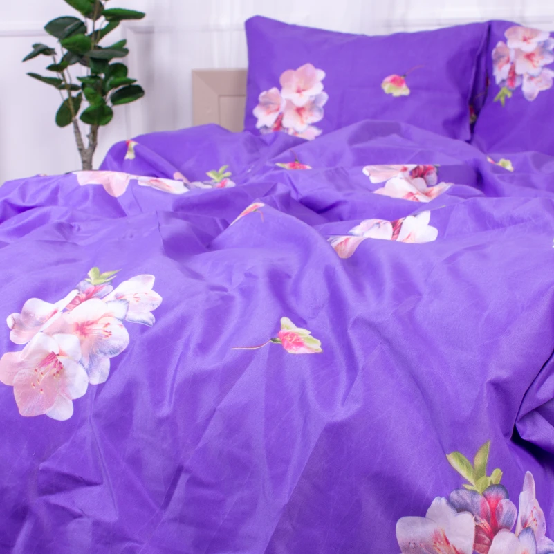 Комплект постельного белья Микрофибра принт 15-0324 Connor - 5