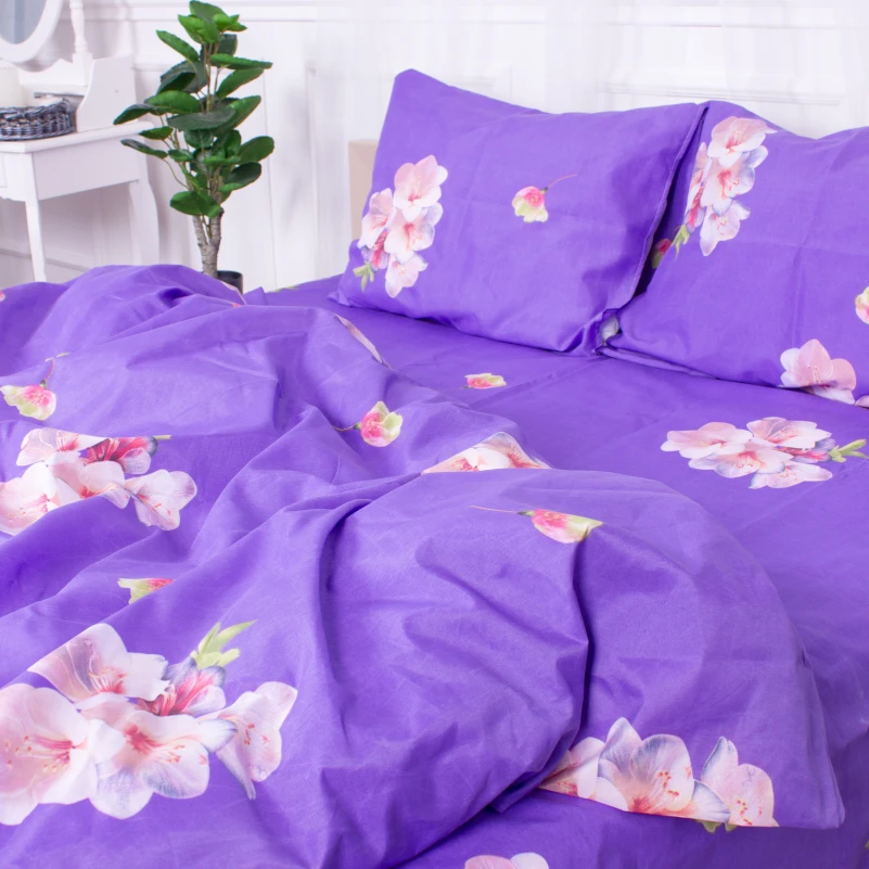 Комплект постельного белья Микрофибра принт 15-0324 Connor - 6