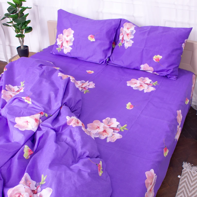 Комплект постельного белья Микрофибра принт 15-0324 Connor - 7