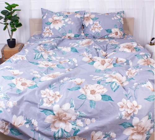 Комплект постельного белья Микрофибра принт 15-0320 Mark