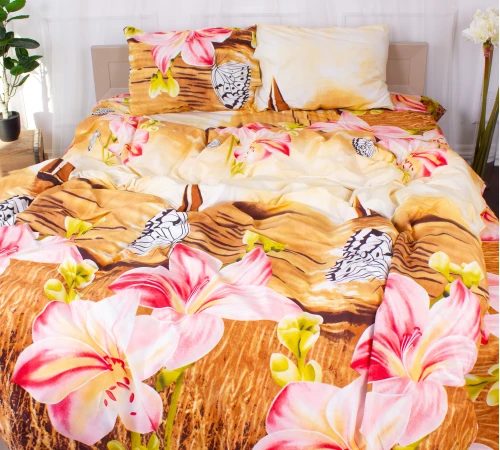 Комплект постельного белья Микрофибра принт 15-0169 Vaduz