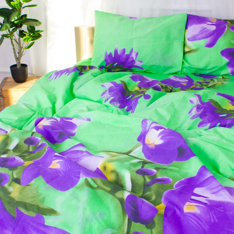 Комплект постельного белья Микрофибра принт 15-0322 Letitia - 3