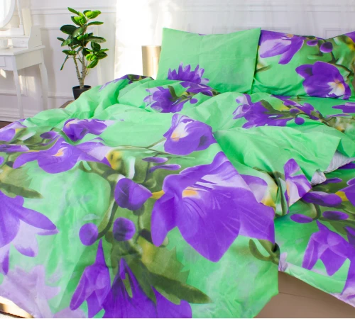 Комплект постельного белья Микрофибра принт 15-0322 Letitia - 2