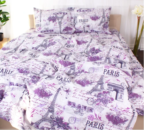 Комплект постельного белья Микрофибра принт 15-0316 Phillip