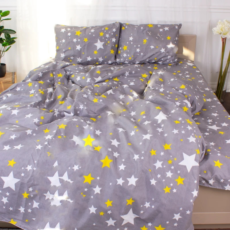 Комплект постельного белья Микрофибра принт 15-0319 Merlyn