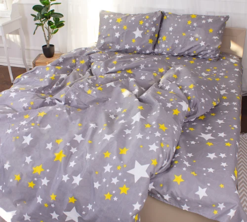 Комплект постельного белья Микрофибра принт 15-0319 Merlyn - 2