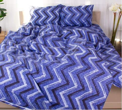 Комплект постельного белья Микрофибра принт 15-0329 Jeremy