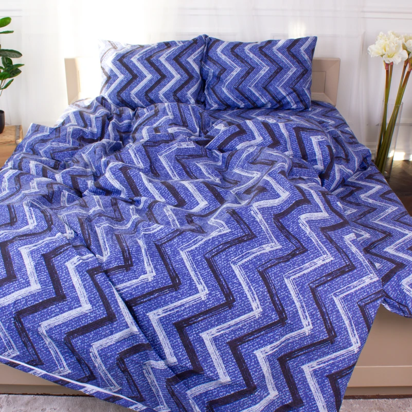 Комплект постельного белья  Микрофибра принт 15-0329 Jeremy