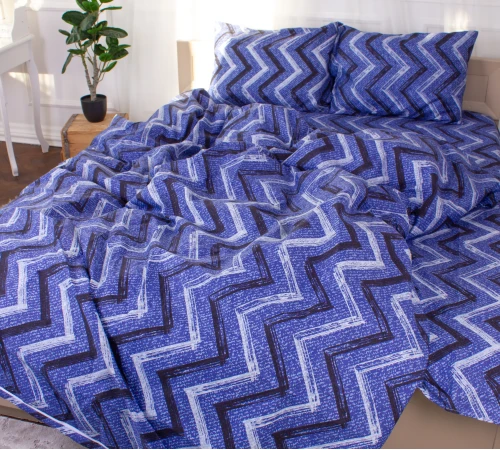 Комплект постельного белья Микрофибра принт 15-0329 Jeremy - 2