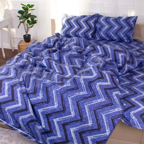 Підковдра Мікрофібра принт 15-0329 Jeremy