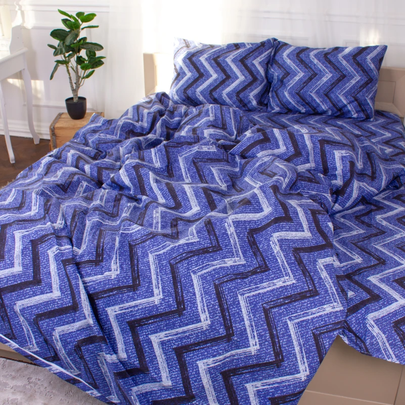 Комплект постельного белья  Микрофибра принт 15-0329 Jeremy - 1