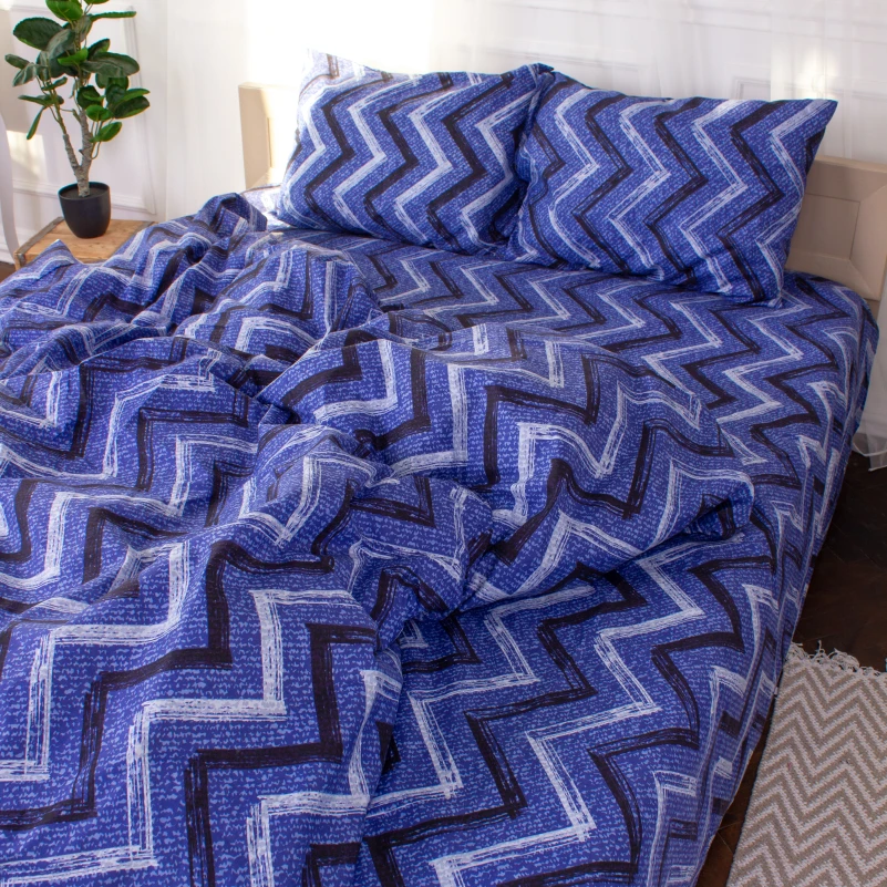 Комплект постельного белья  Микрофибра принт 15-0329 Jeremy - 3