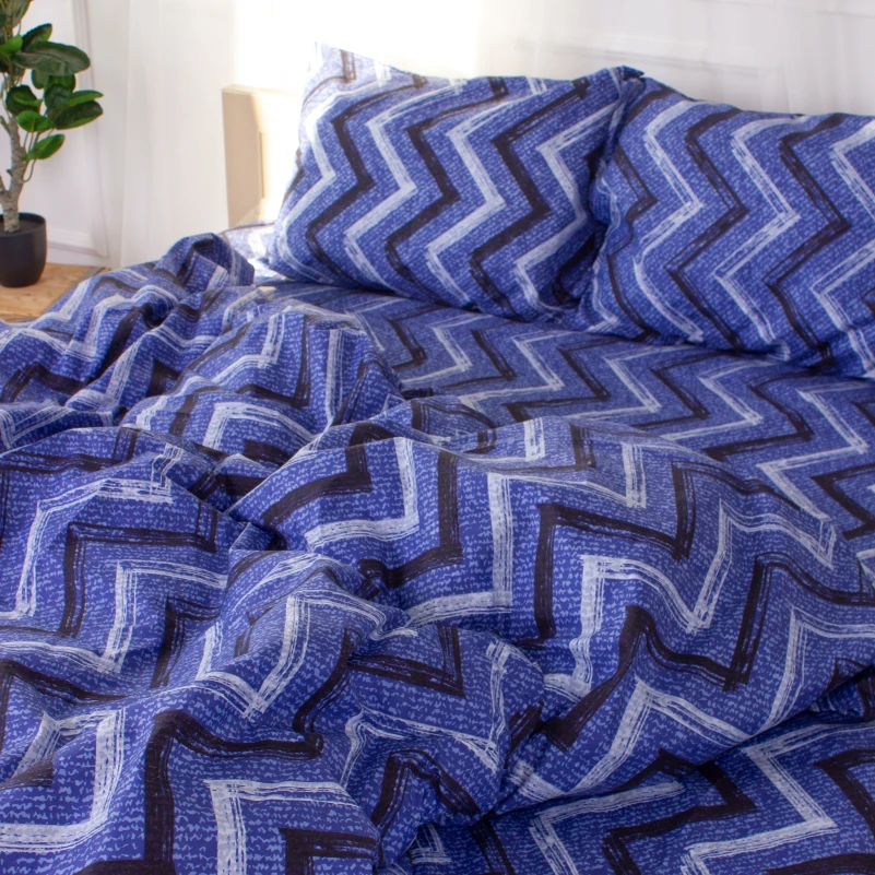 Комплект постельного белья  Микрофибра принт 15-0329 Jeremy - 4