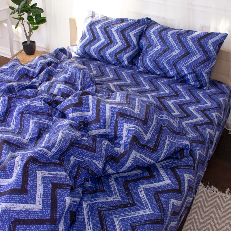 Комплект постельного белья  Микрофибра принт 15-0329 Jeremy - 5