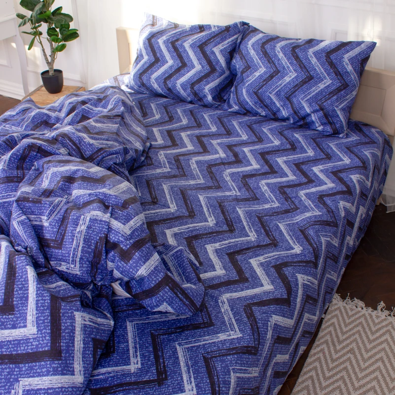 Комплект постельного белья  Микрофибра принт 15-0329 Jeremy - 6