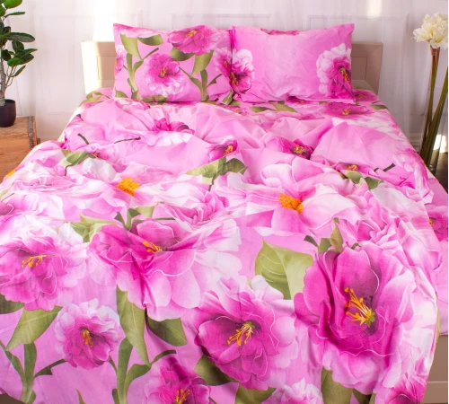 Комплект постельного белья Микрофибра принт 15-0075 Leeds