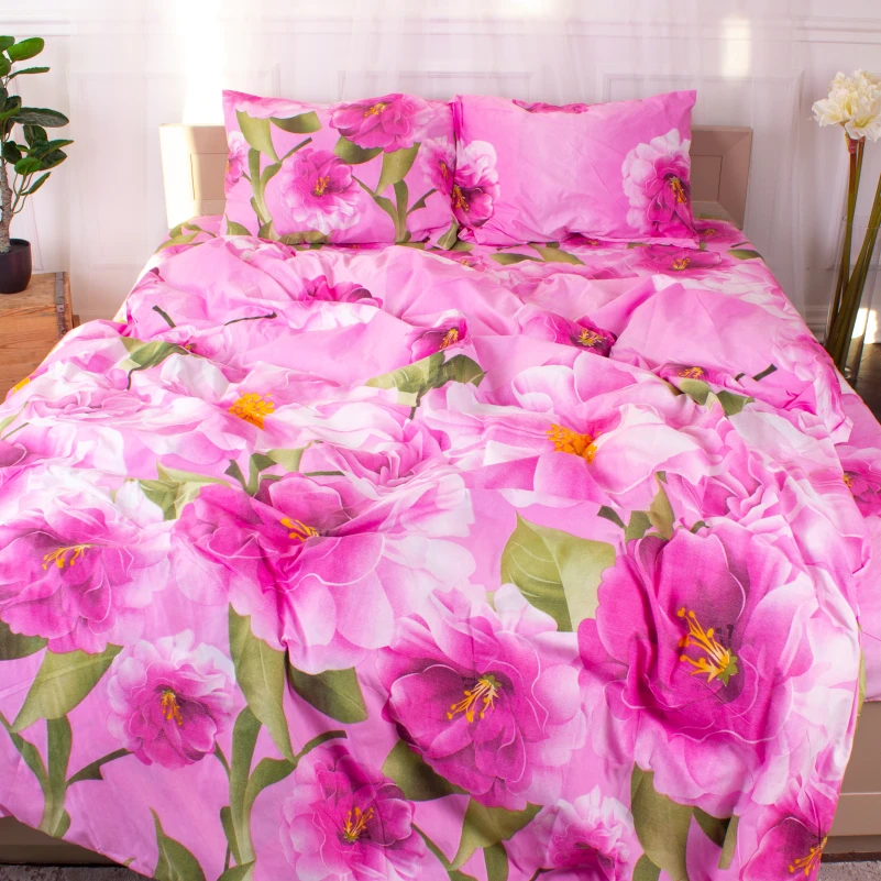 Комплект постельного белья Микрофибра принт 15-0075 Leeds<br />