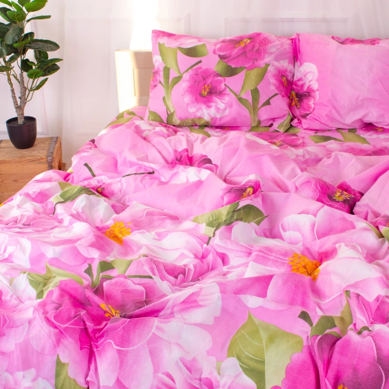 Комплект постельного белья Микрофибра принт 15-0075 Leeds<br /> - 3