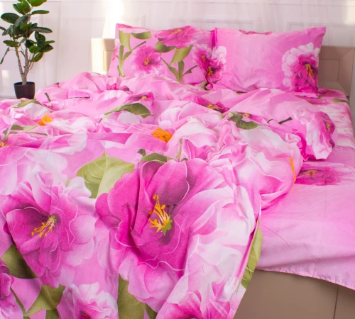 Комплект постельного белья Микрофибра принт 15-0075 Leeds - 2