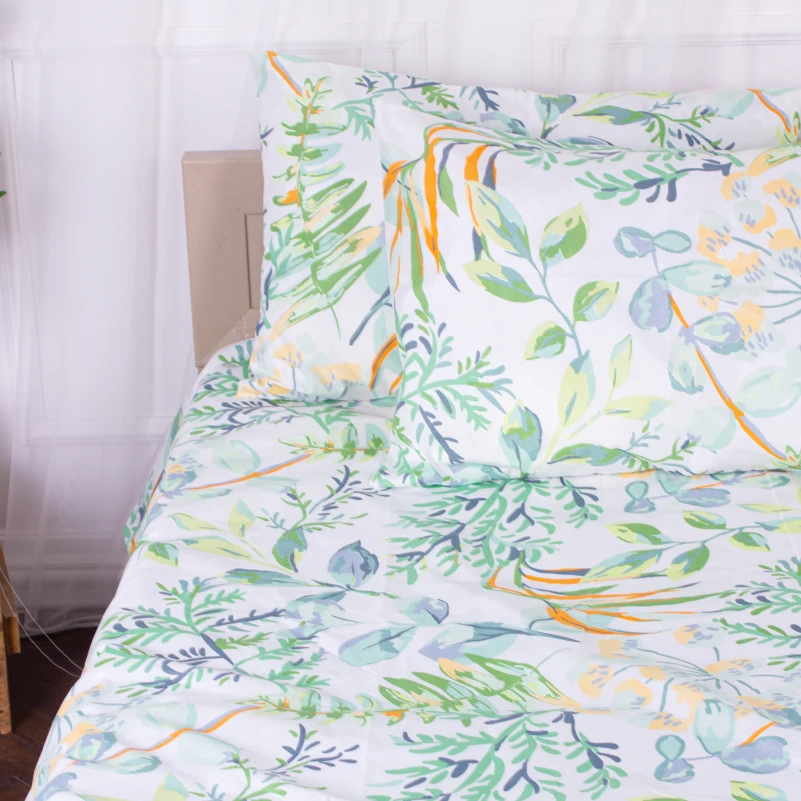 Комплект постельного белья Микрофибра принт 15-0315 Robbie - 2