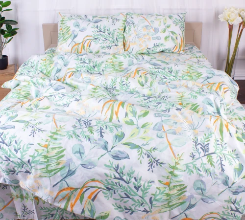 Комплект постельного белья Микрофибра принт 15-0315 Robbie