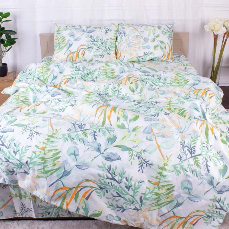 Комплект постельного белья Микрофибра принт 15-0315 Robbie