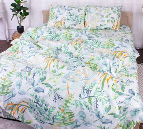 Комплект постельного белья Микрофибра принт 15-0315 Robbie - 2