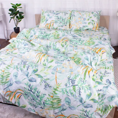 Підковдра Мікрофібра принт 15-0315 Robbie