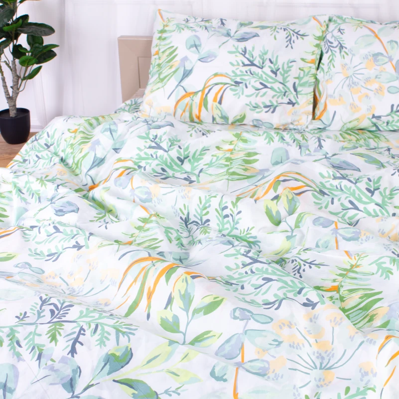 Комплект постельного белья Микрофибра принт 15-0315 Robbie - 3